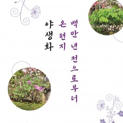 [도록] 190x260mm 2025 야생화 도록 표지_대지 1